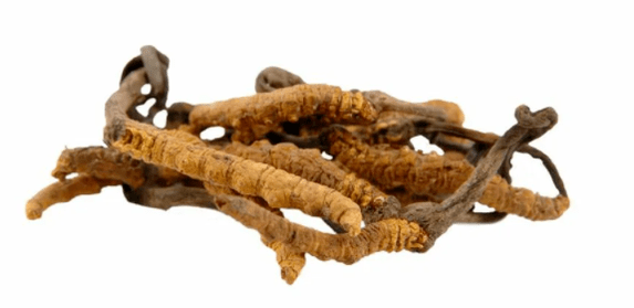 houba cordyceps v Gluconol